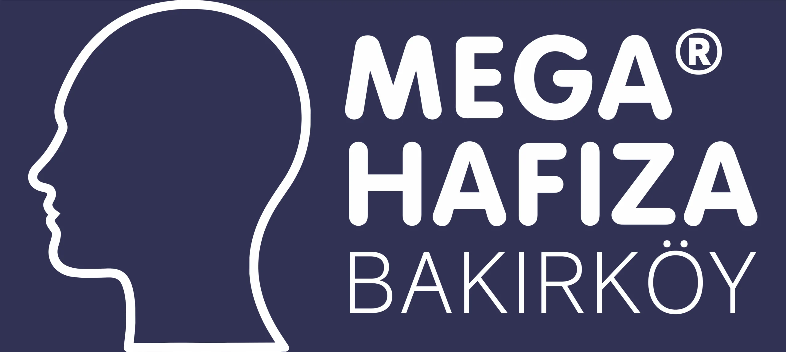 Mega Hafıza Bakırköy
